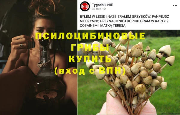 мяу мяу кристалл Касимов